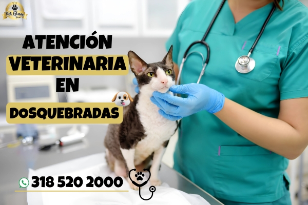 Servicio veterinario en Dosquebradas