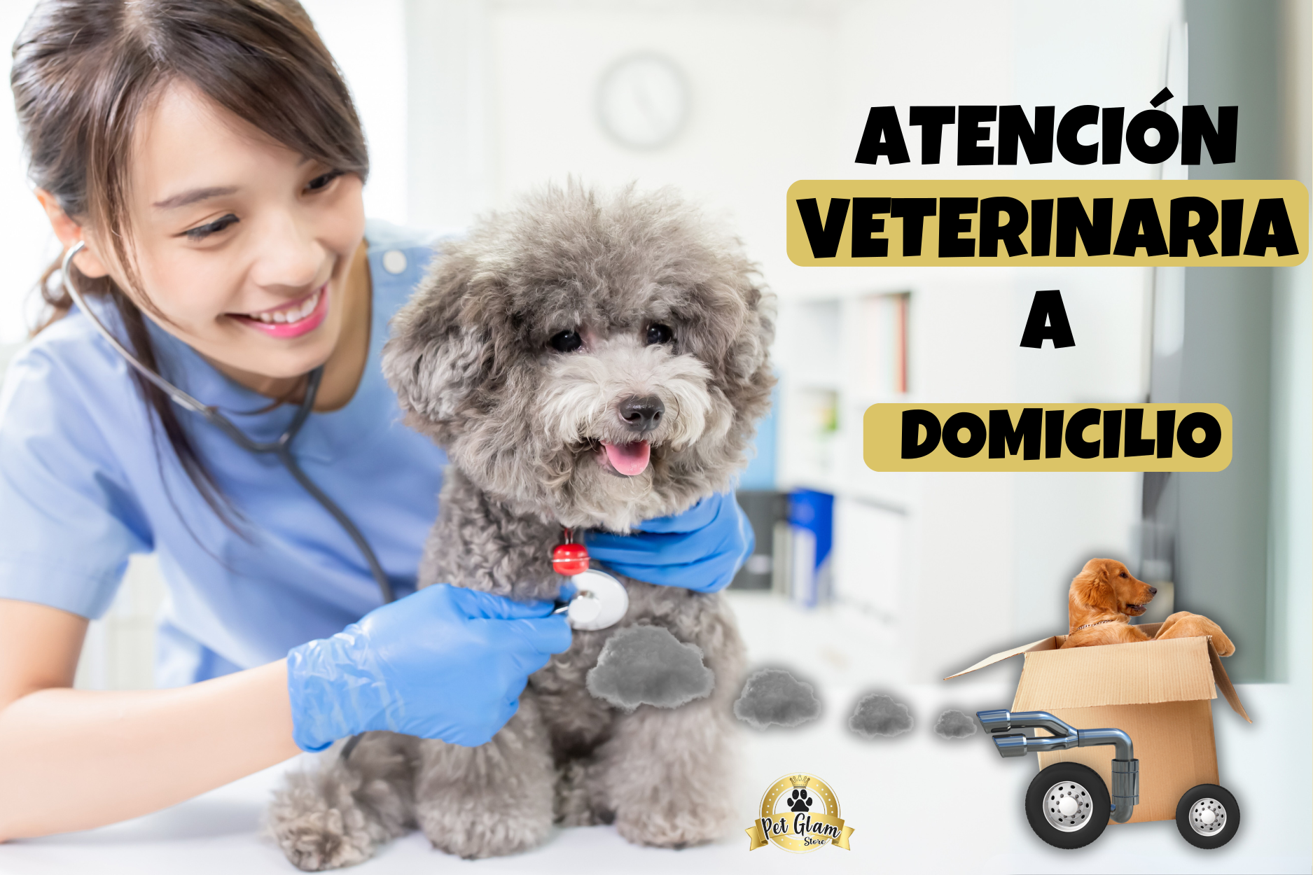 Servicio veterinario a domicilio en Dosquebradas y Pereira