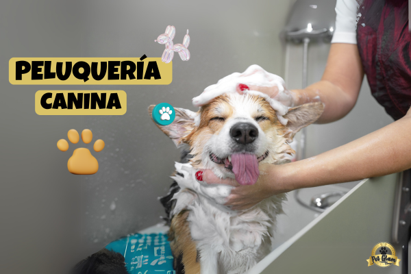 Peluquería Canina en Dosquebradas